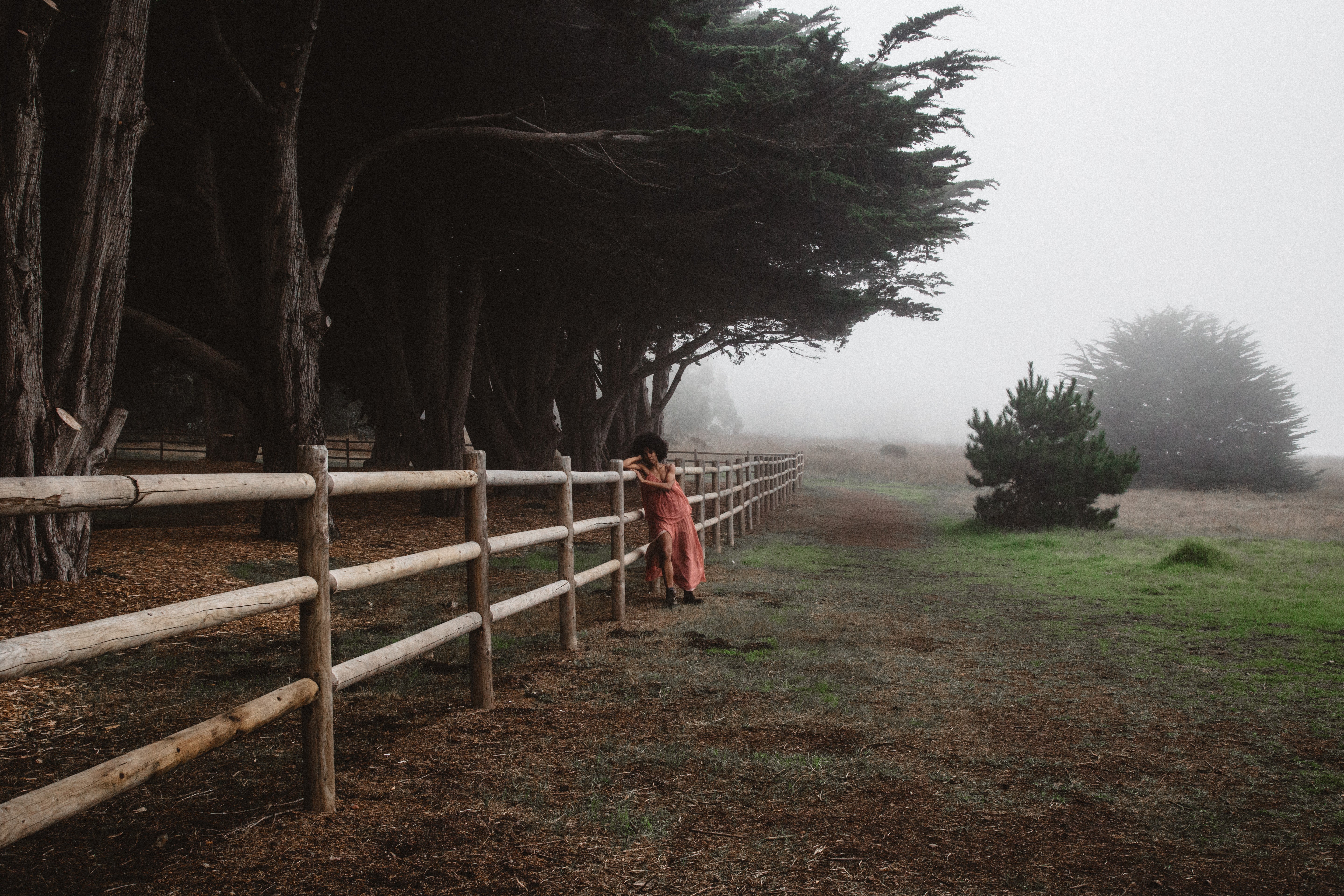 This Insta-Worthy Road Trip To Sleep in a Human Nest is Everything